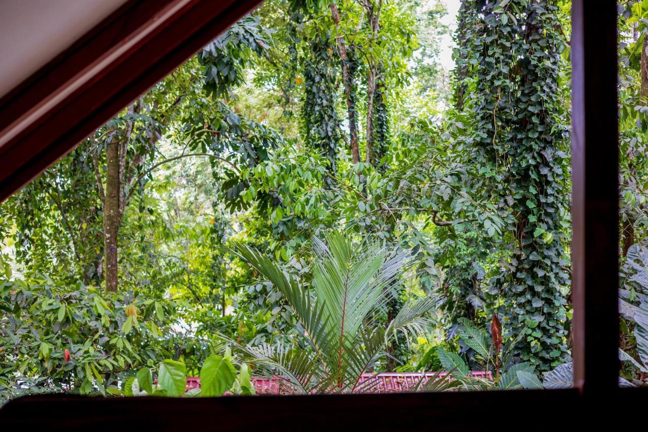 Namuwoki Lodge Puerto Viejo de Talamanca Luaran gambar